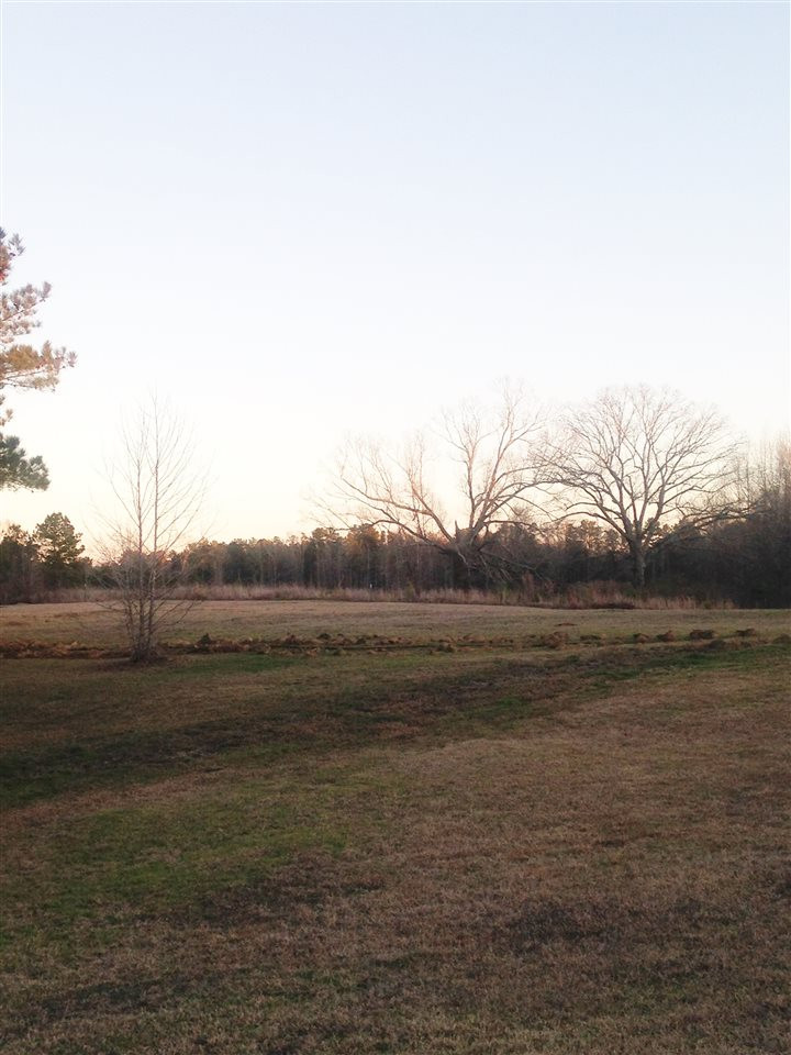6380 Chapel Hill Road Utica, MS 39175 - Photo 26 of 28 Photo 26