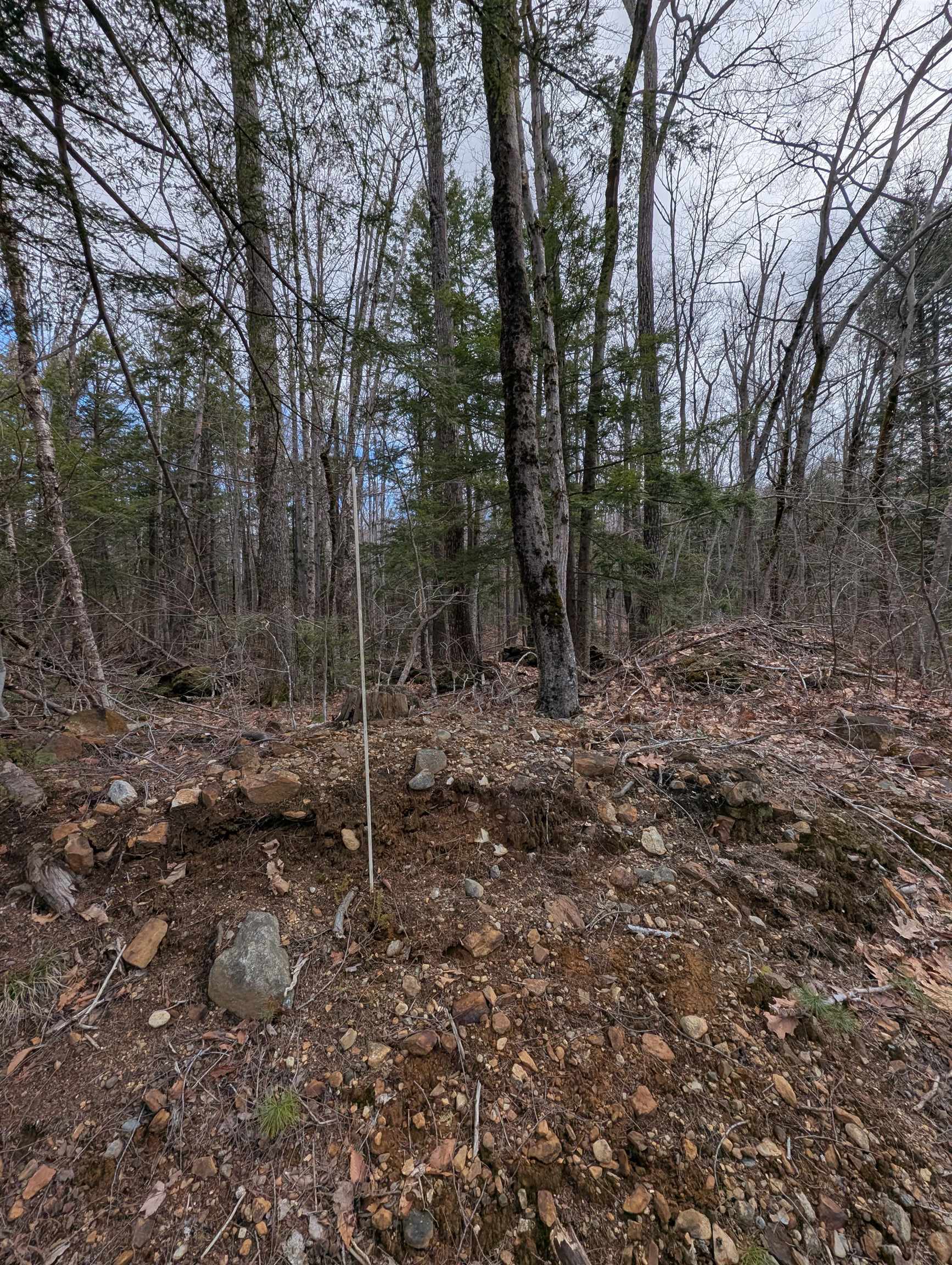 21 Jewett Road Weare, NH 03281 - Photo 12 of 18 Gallery Image 12