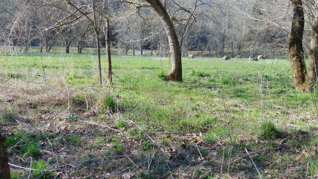 0 Barnrock Road Mendota, VA 24270 - Photo 11 of 15 mendota7