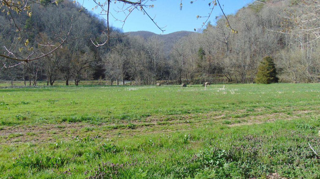 0 Barnrock Road Mendota, VA 24270 - Photo 12 of 15 mendota8