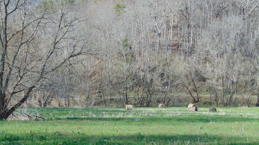 0 Barnrock Road Mendota, VA 24270 - Photo 13 of 15 mendota9