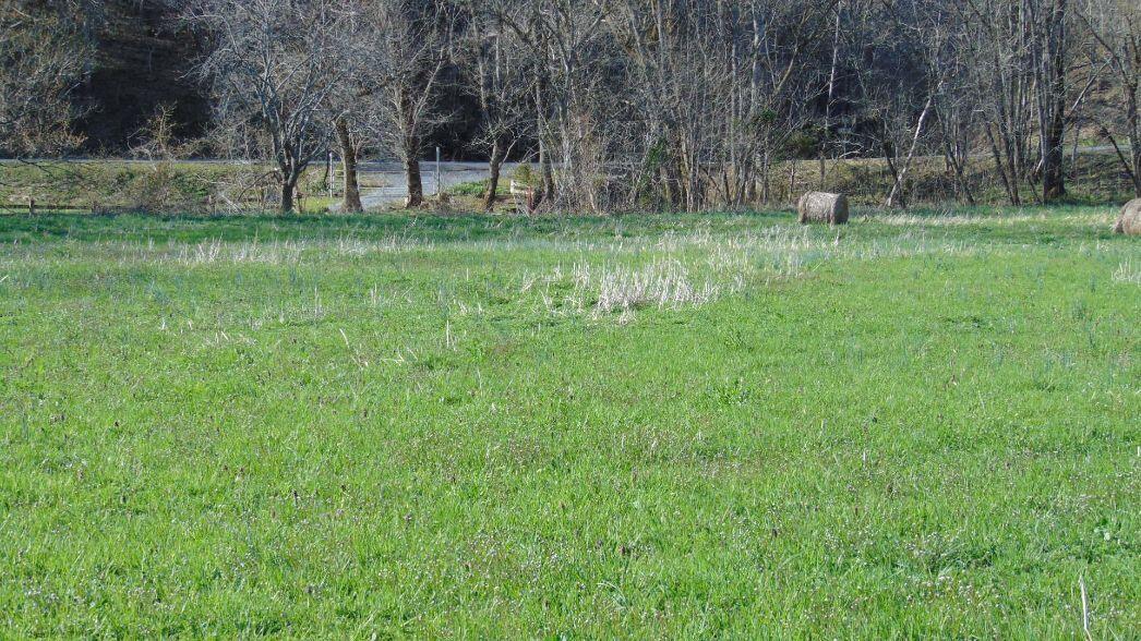 0 Barnrock Road Mendota, VA 24270 - Photo 15 of 15 mendota11