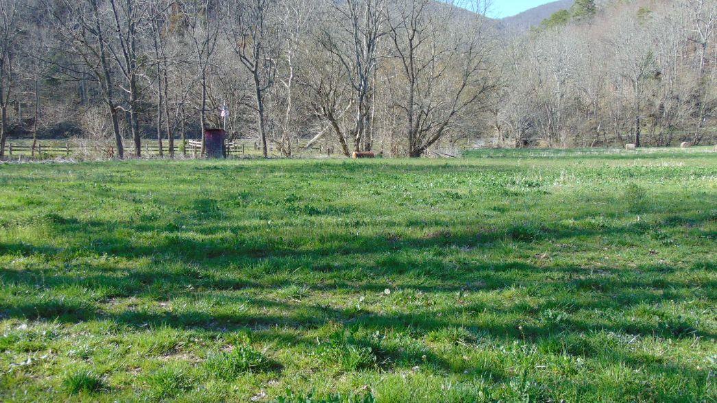 0 Barnrock Road Mendota, VA 24270 - Photo 10 of 15 mendota6
