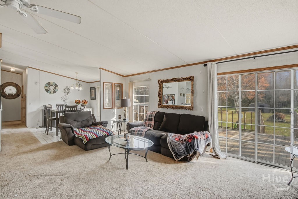 680 Rock Springs Road Lavonia, GA 30553 - Photo 9 of 42 Gallery Image 9