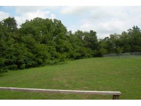 995 Bayless Road Jonesborough, TN 37659 - Photo 2 of 2 Photo 2