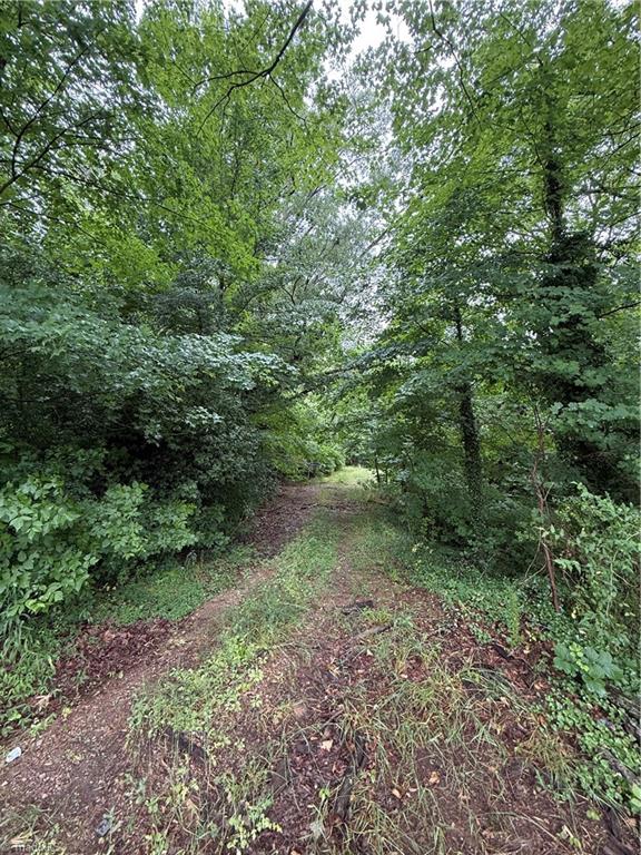 0 Pine Ridge Road China Grove, NC 28023 - Photo 1 of 4