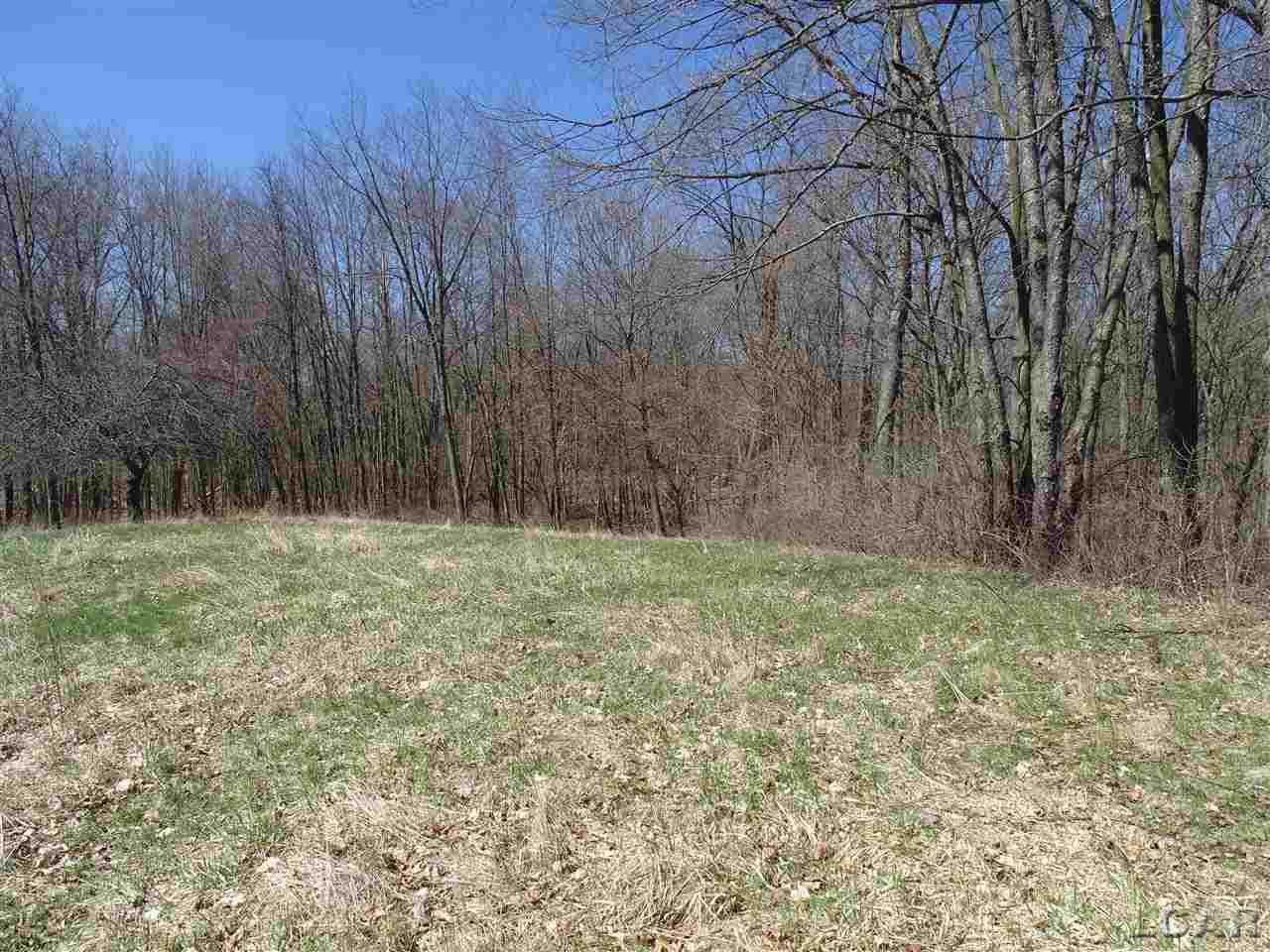 5600 South Meridian Road Hudson, MI 49247 - Photo 35 of 44 31376681-34.JPG