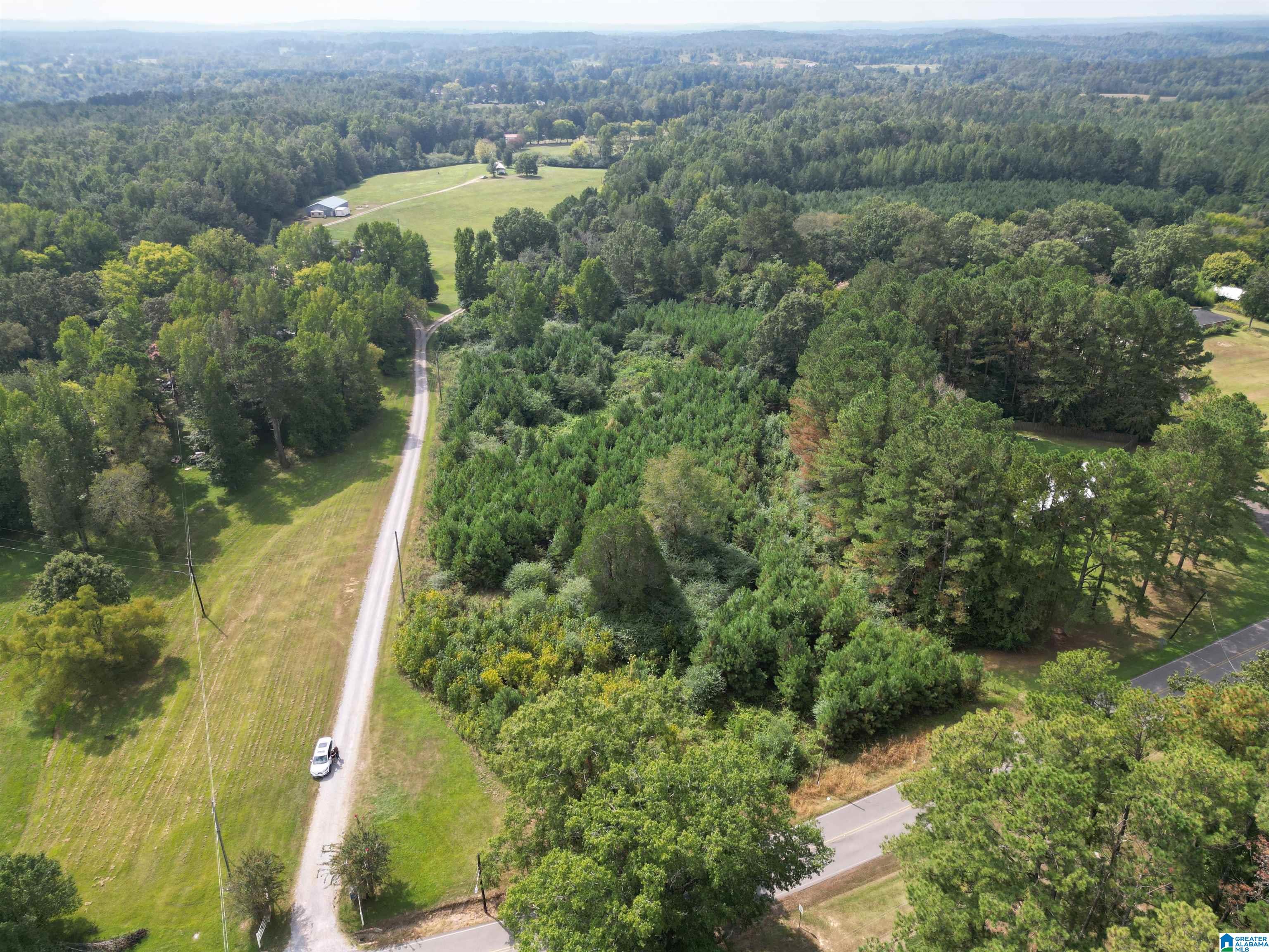 2941 County Line Drive, Unit 1 Trafford, AL 35172 - Photo 4 of 15
