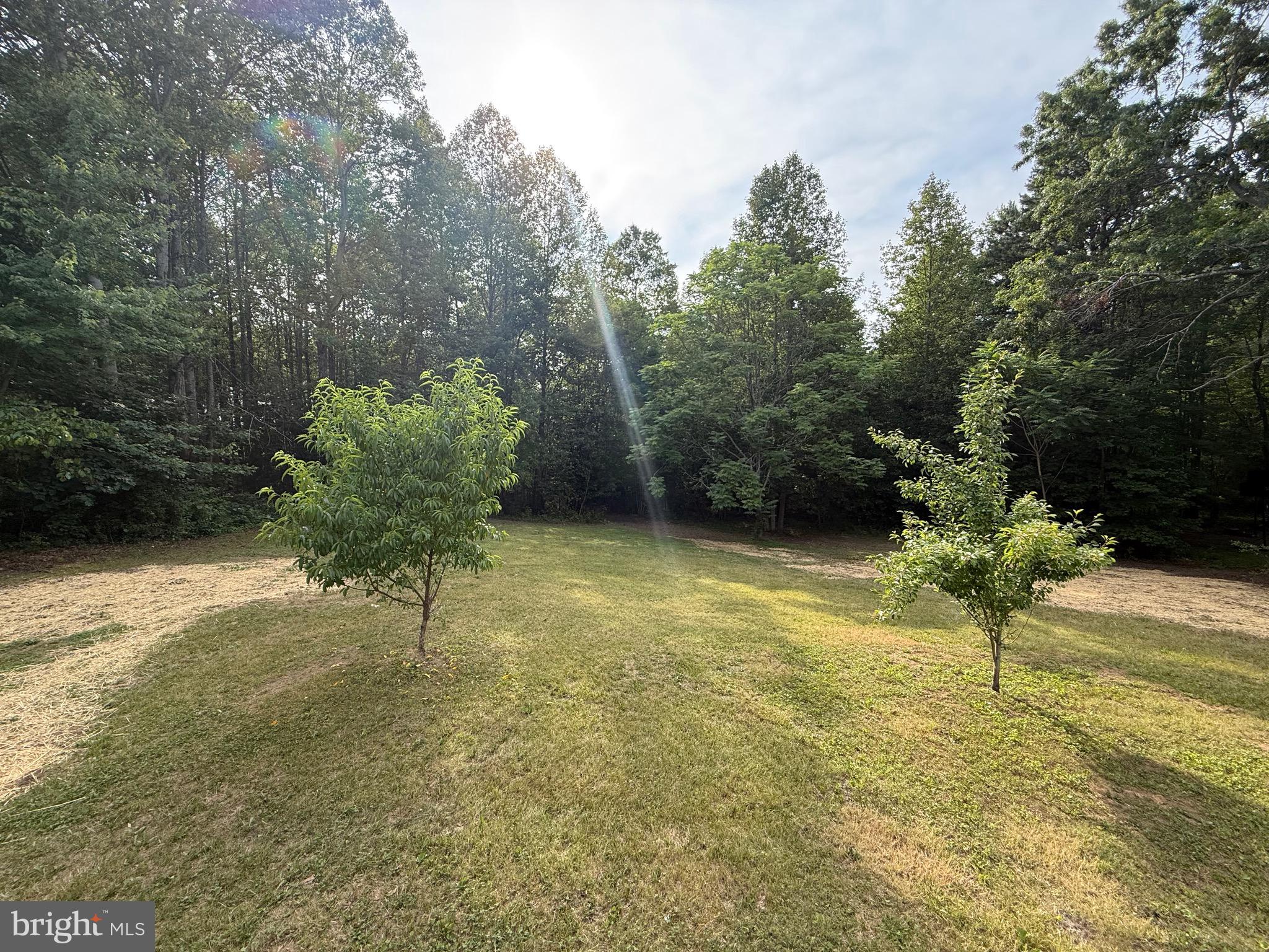 319 Chopping Road Mineral, VA 23117 - Photo 21 of 22 a view of a garden with plants