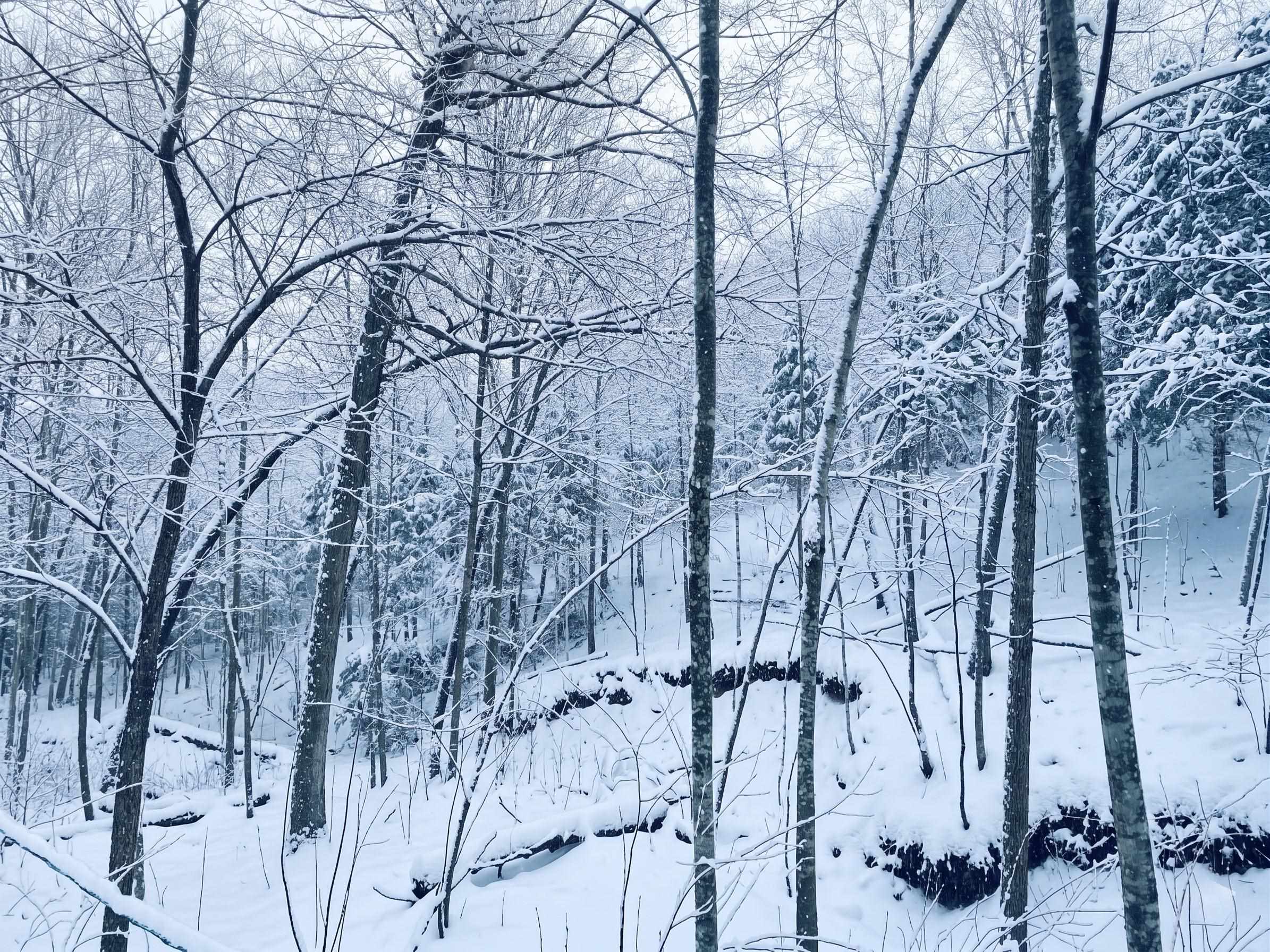 E5894 Jore Road Westby, WI 54667 - Photo 5 of 5