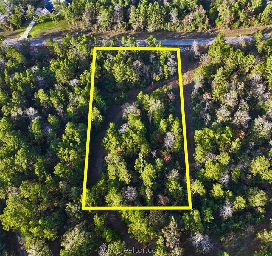 10622 Ruger Road Willis, TX 77378 - Photo 4 of 15