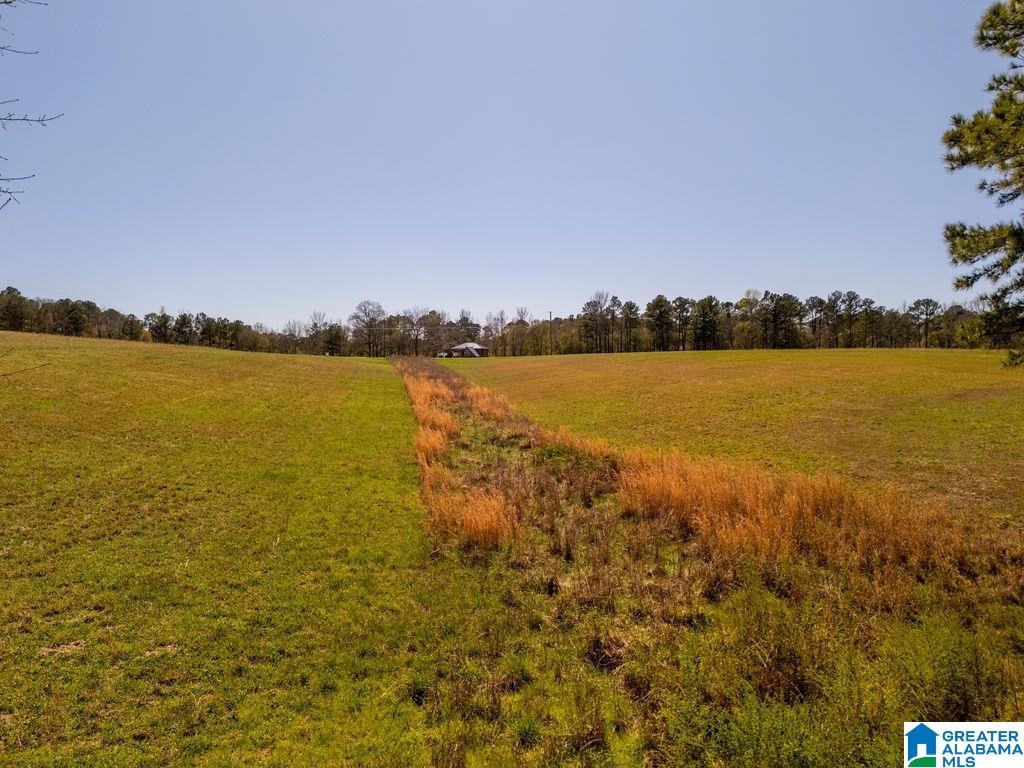 Bluegrass Lane, Unit 11 Jasper, AL 35503 - Photo 10 of 38