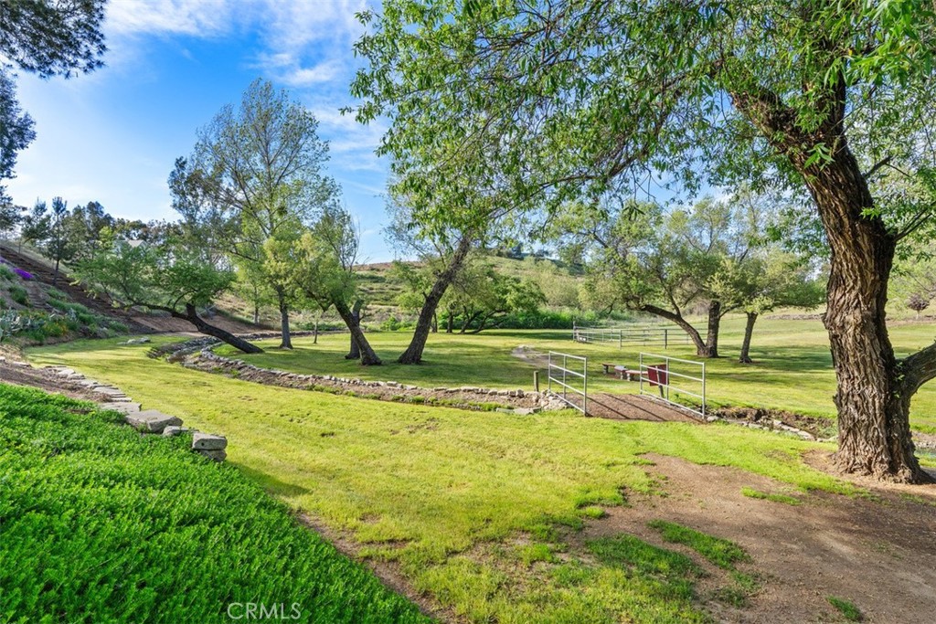 39460 Hilt Road Temecula, CA 92591 - Photo 5 of 74 a view of a yard with trees