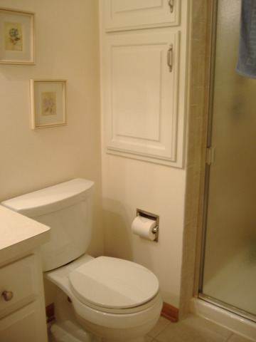 910 South Raven Road Shorewood, IL 60404 - Photo 8 of 16