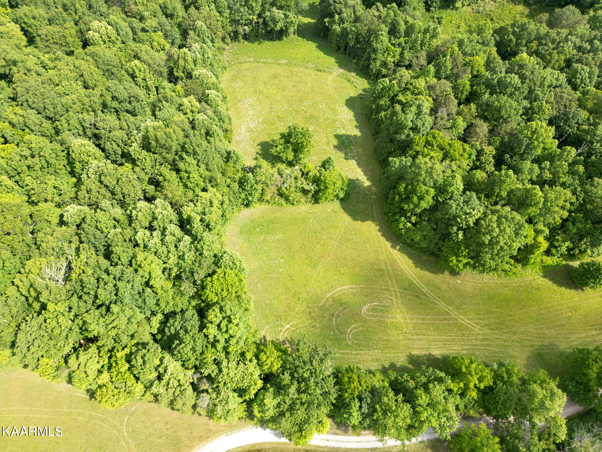 Tbd Jones Ridge Road Speedwell, TN 37870 - Photo 17 of 26 Jones Ridge Road-08