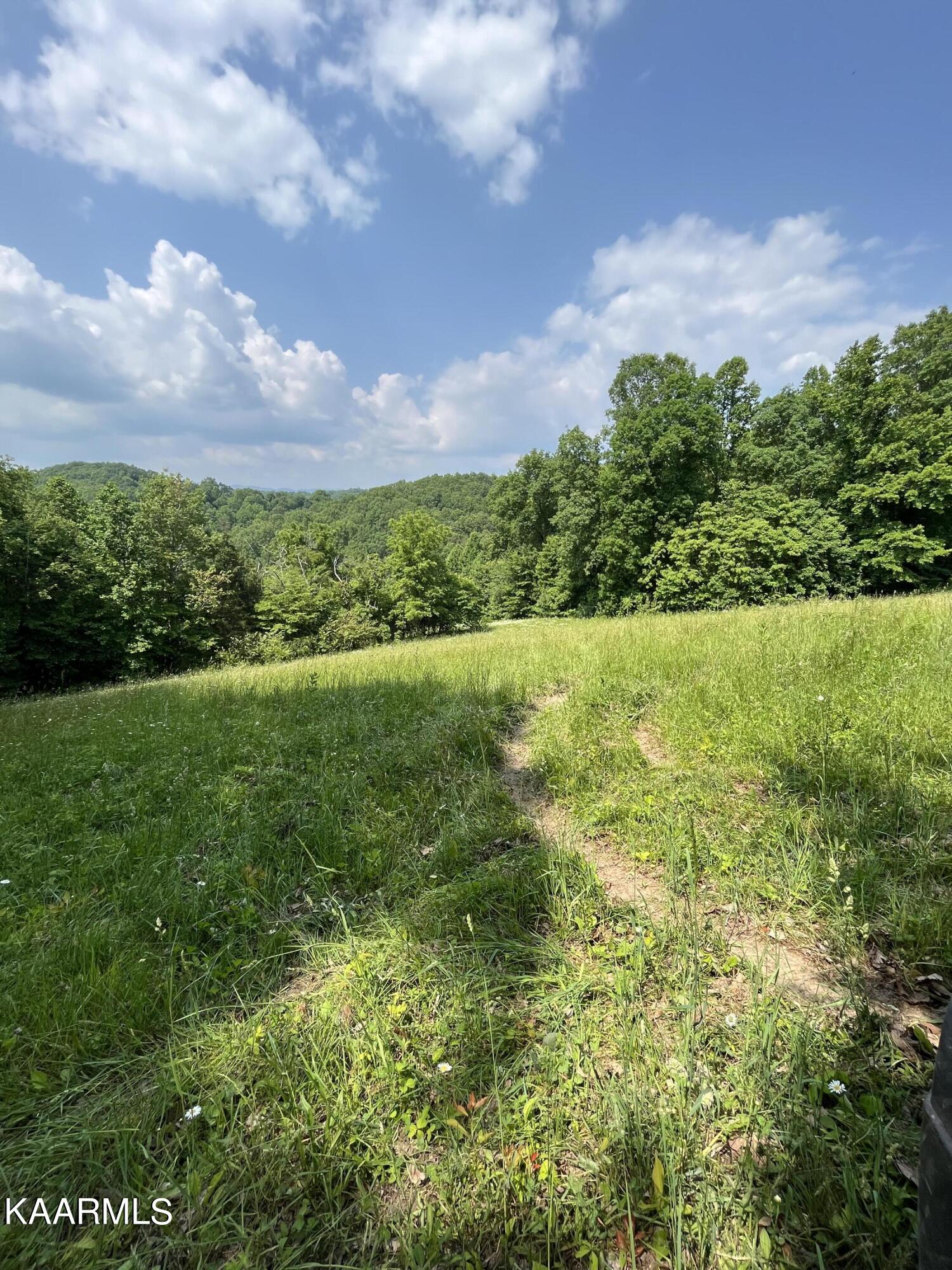 Tbd Jones Ridge Road Speedwell, TN 37870 - Photo 2 of 26 IMG_0205