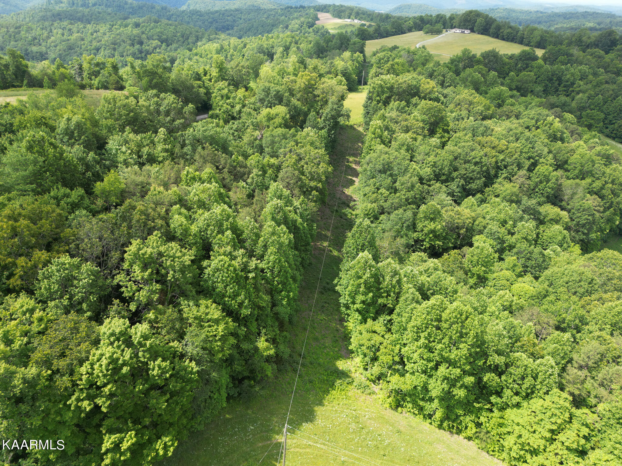 Tbd Jones Ridge Road Speedwell, TN 37870 - Photo 21 of 26 Jones Ridge Road-12
