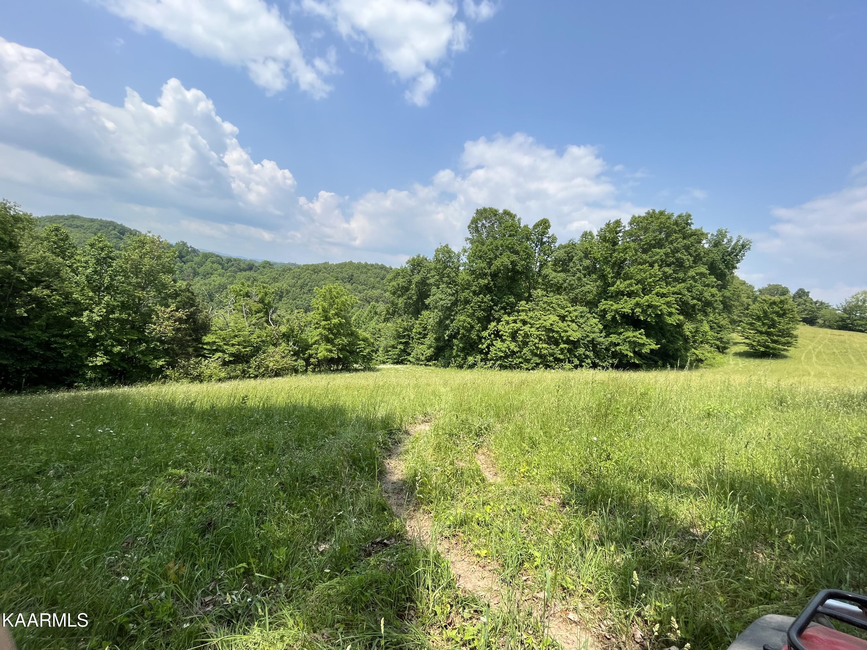 Tbd Jones Ridge Road Speedwell, TN 37870 - Photo 5 of 26 IMG_0208
