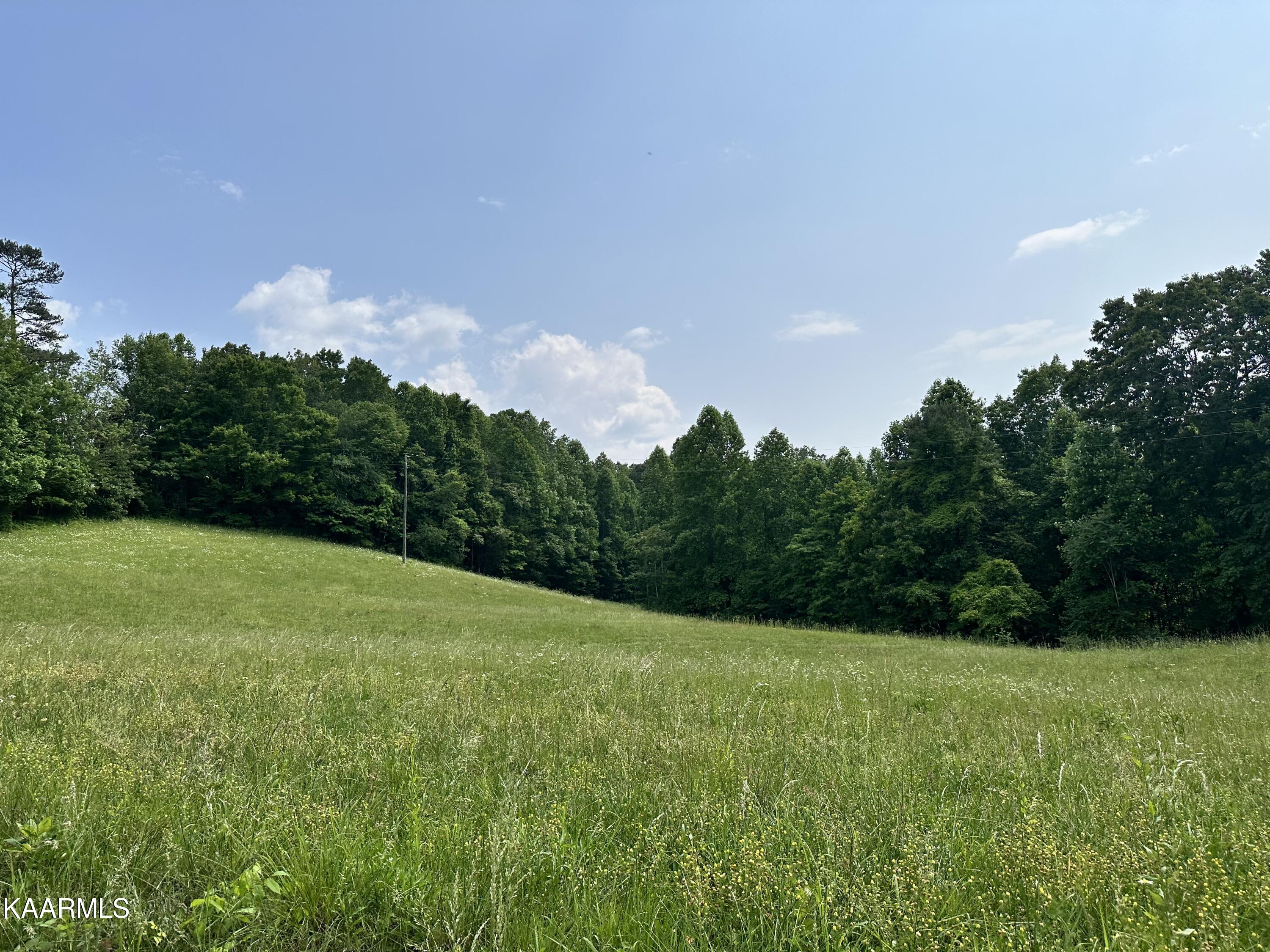 Tbd Jones Ridge Road Speedwell, TN 37870 - Photo 6 of 26 IMG_1594
