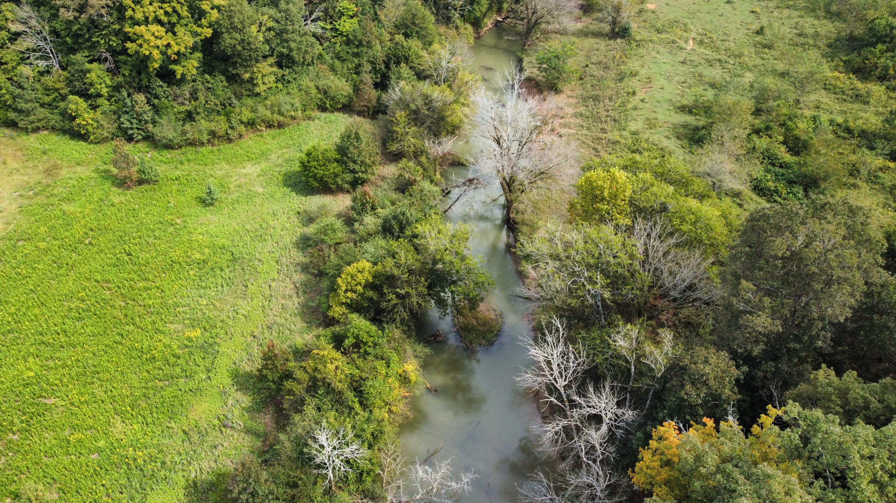 36 Athens Road, Unit 36 Delano, TN 37325 - Photo 1 of 55 JXJH3401