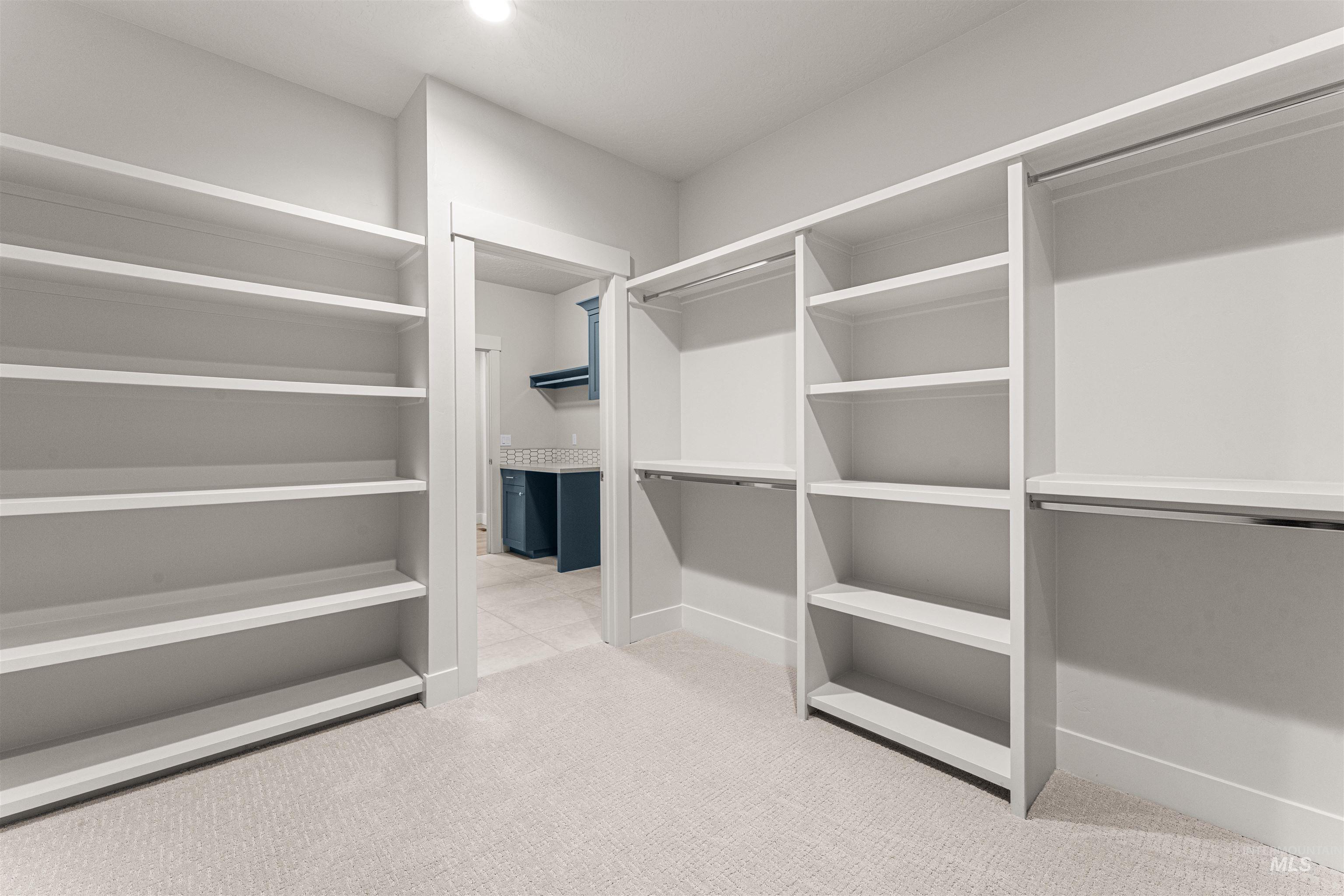 8080 Tandy Cv Street Middleton, ID 83644 - Photo 21 of 35 Walk in closet featuring light colored carpet