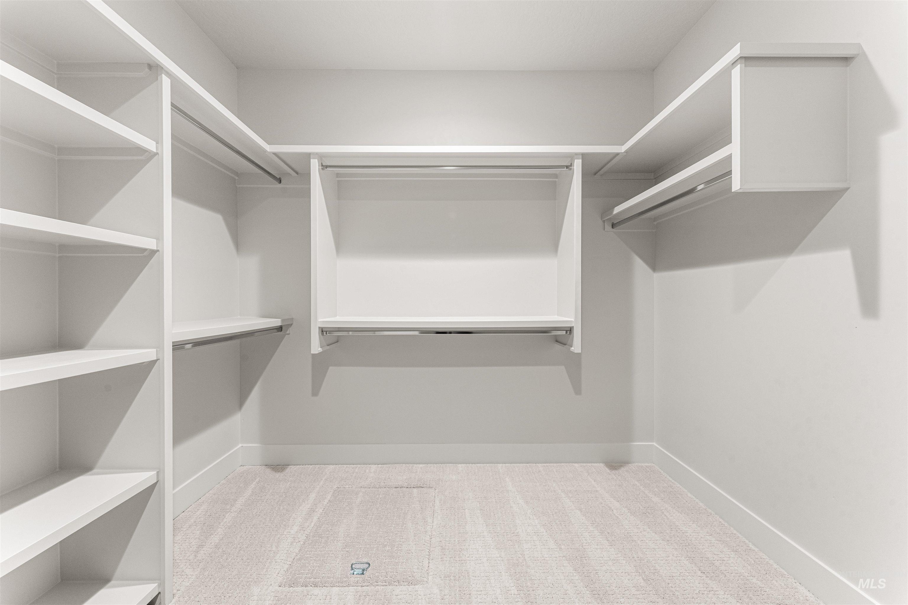 8080 Tandy Cv Street Middleton, ID 83644 - Photo 22 of 35 Walk in closet with light carpet