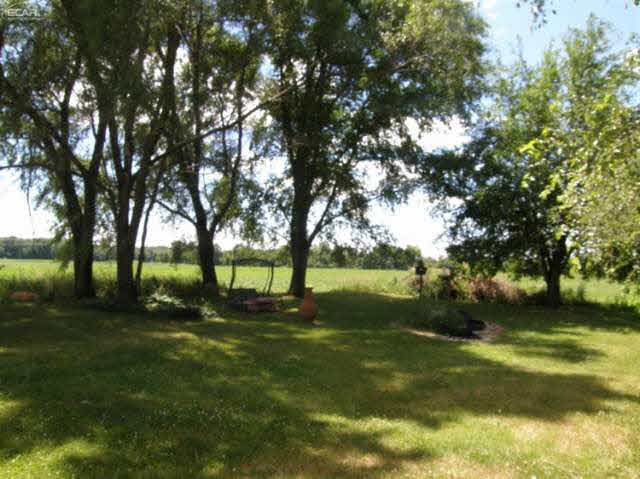 8103 West Gary Road Chesaning, MI 48616 - Photo 4 of 12 21185023-3.JPG