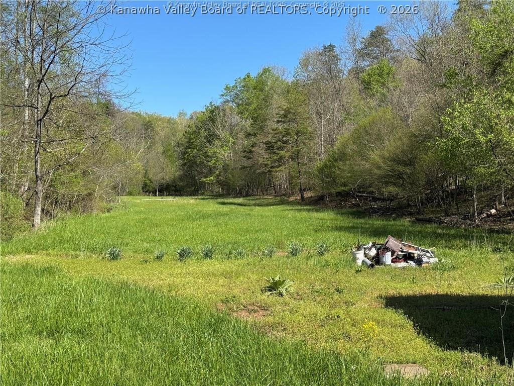 1784 Herdman Road Leon, WV 25123 - Photo 2 of 18 Gallery Image 2