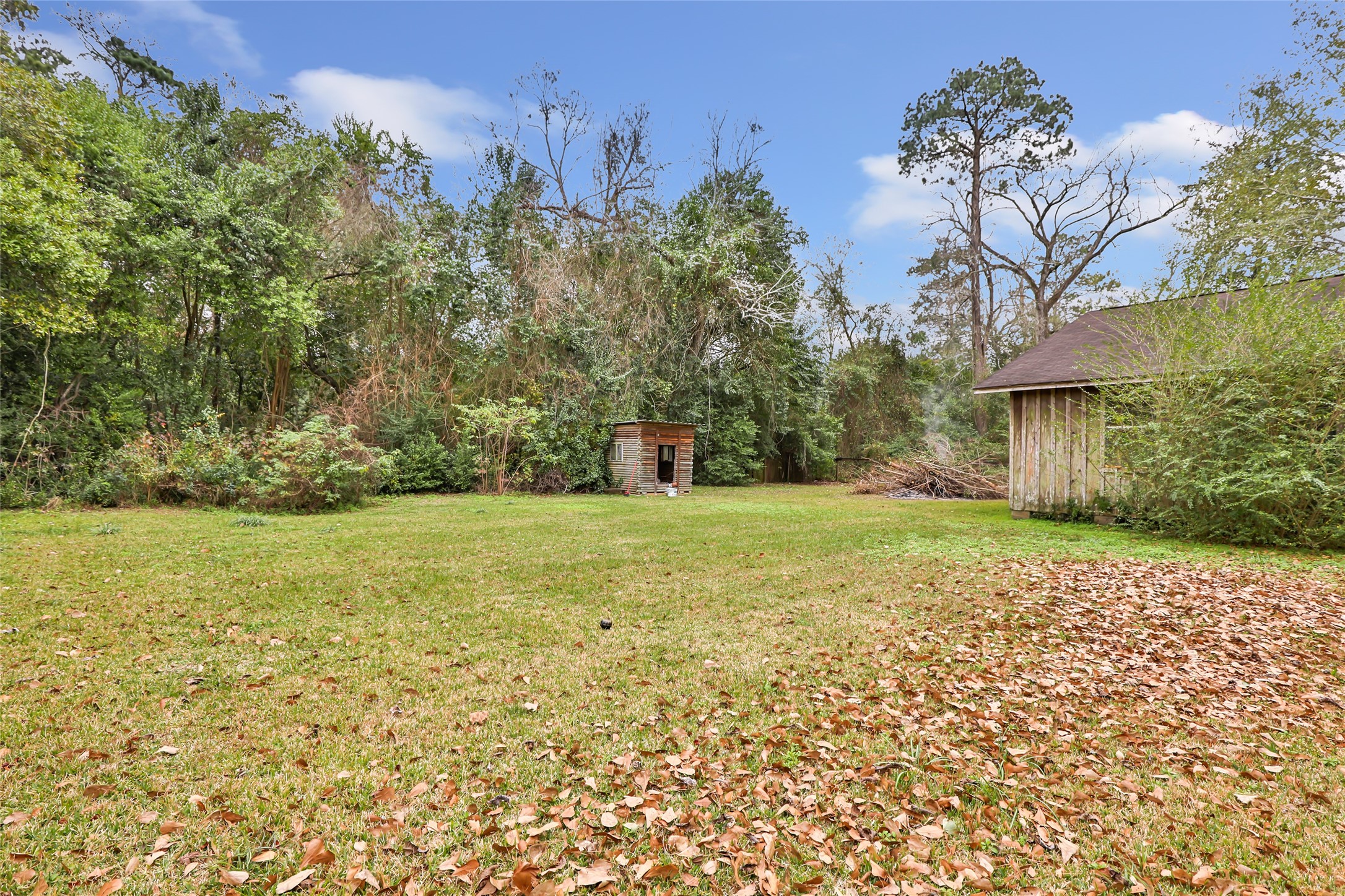 1231 Fm 3513 Road Lumberton, TX 77657 - Photo 7 of 24