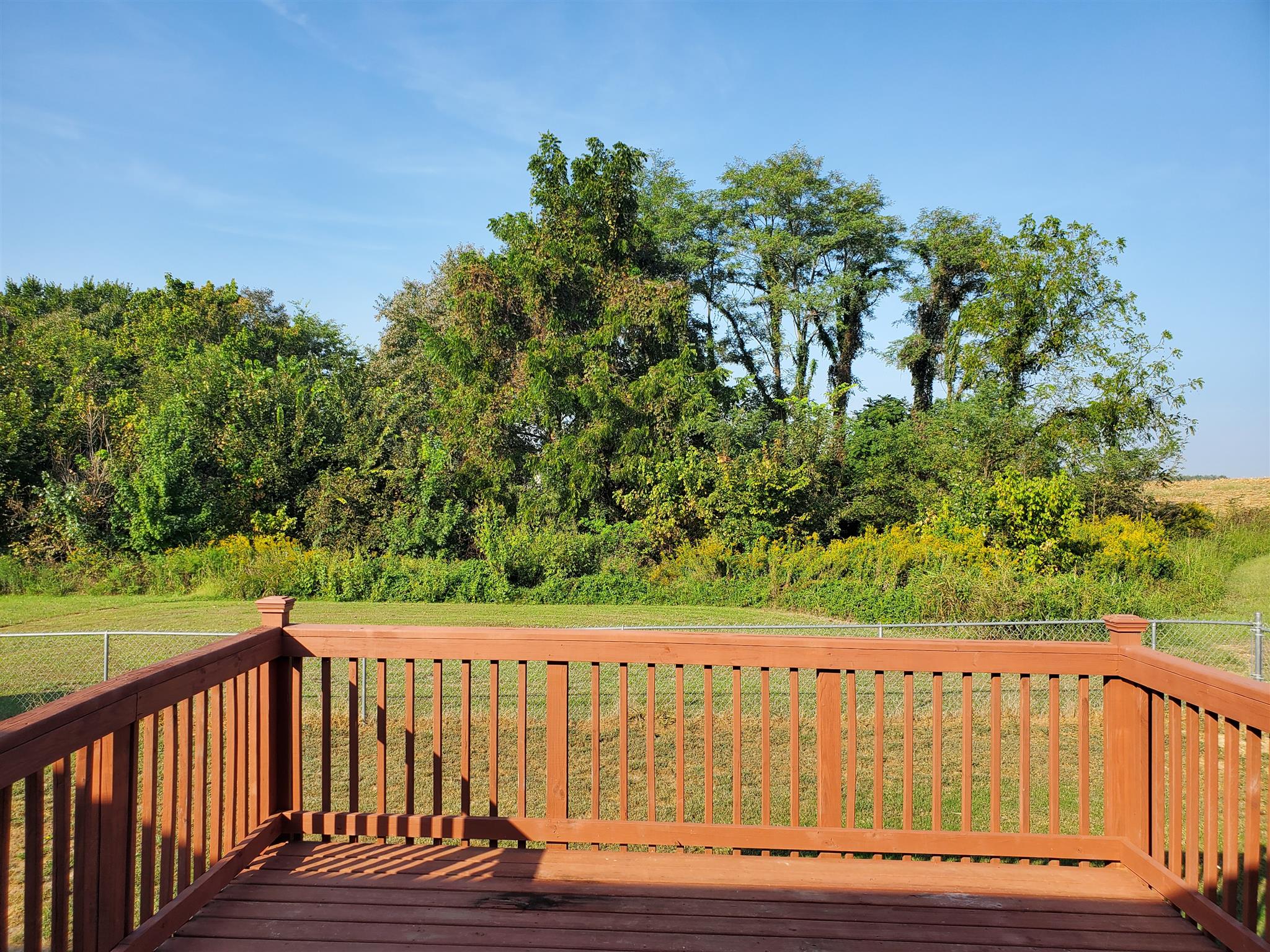 411 Filmore Road Oak Grove, KY 42262 - Photo 6 of 6 Deck with lots of green area with no backyard neighbors