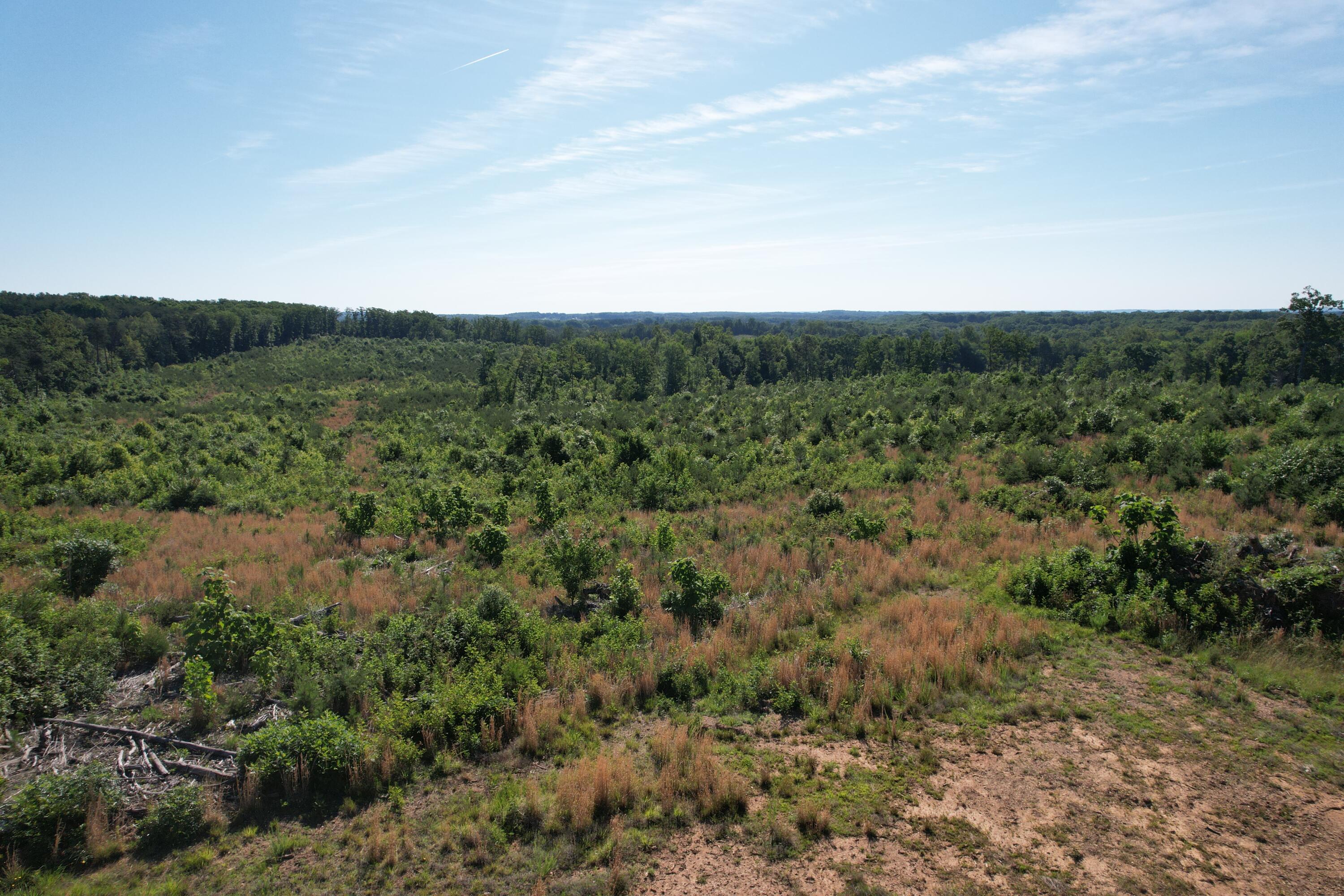 0 Georges Creek Road Gretna, VA 24557 - Photo 17 of 18 DJI_0534