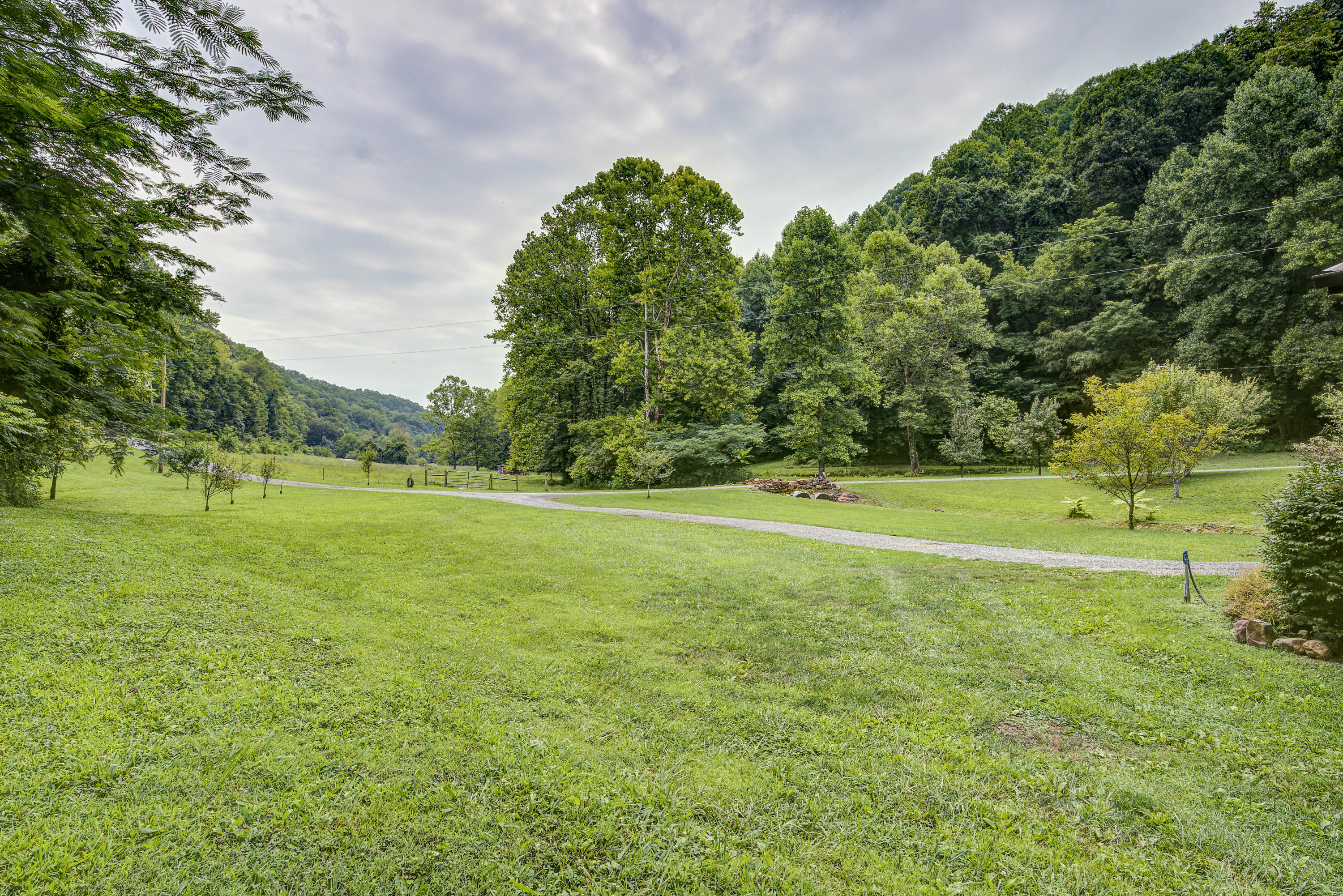 1155 Bear Hollow Road Greeneville, TN 37745 - Photo 8 of 38 EFB867A0-4D66-4941-BFF5-5F596FB7777B