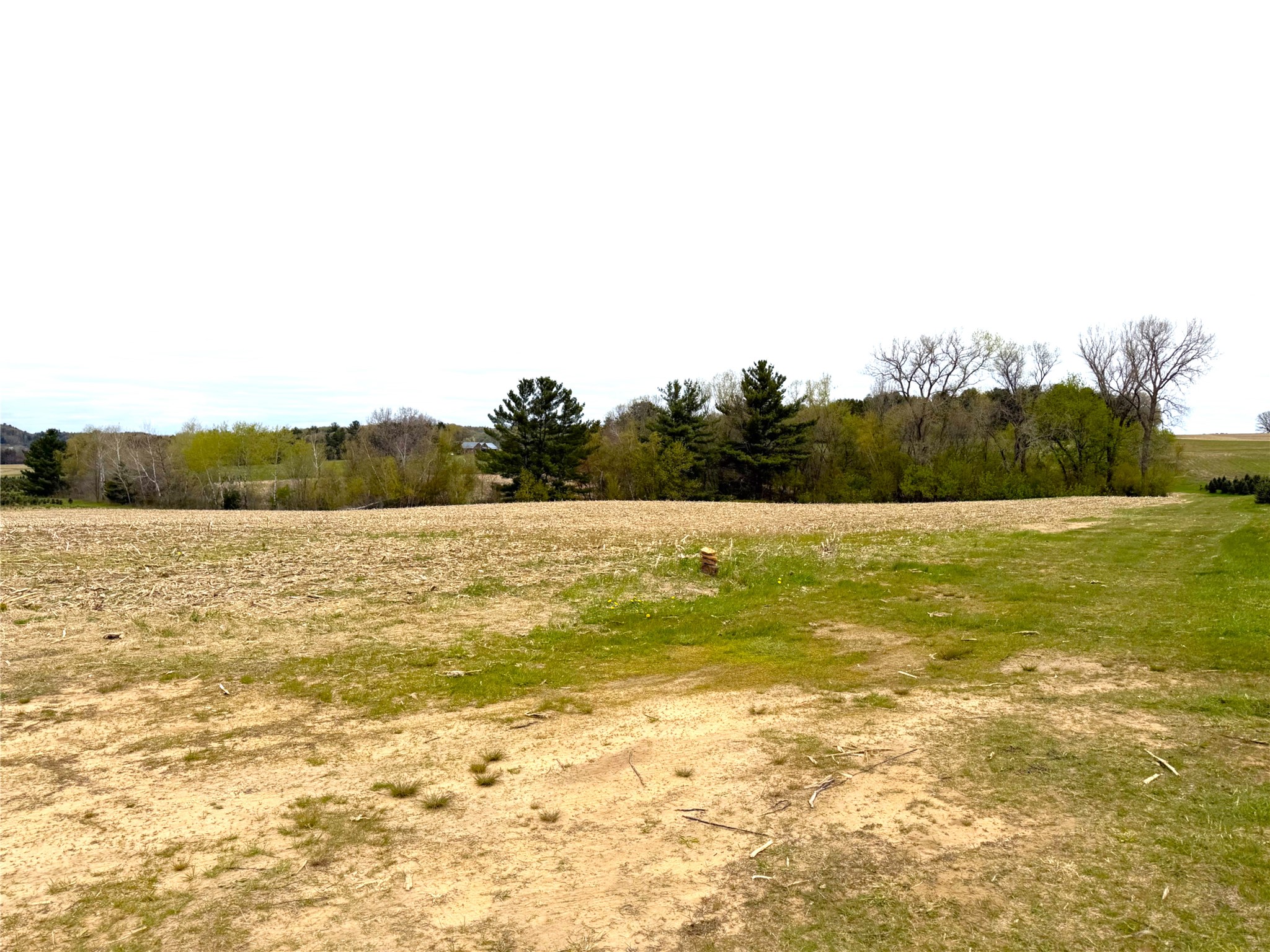 74-acres Sand Prairie Road North Hixton, WI 54635 - Photo 11 of 17
