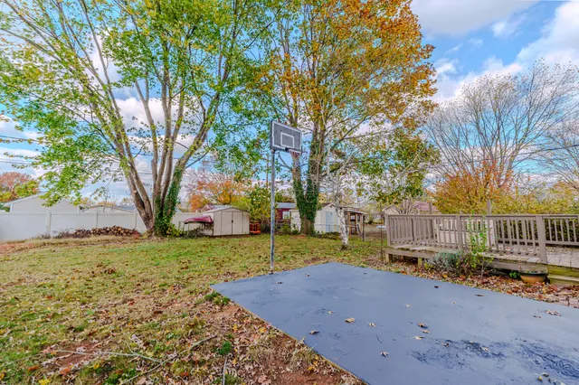 a view of a yard with plants and trees