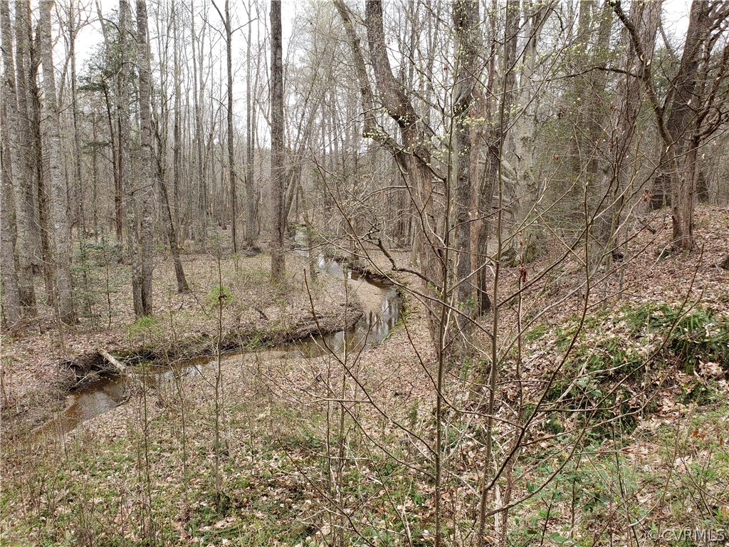 4700 Fleming Road Louisa, VA 23093 - Photo 27 of 30 Gallery Image 27
