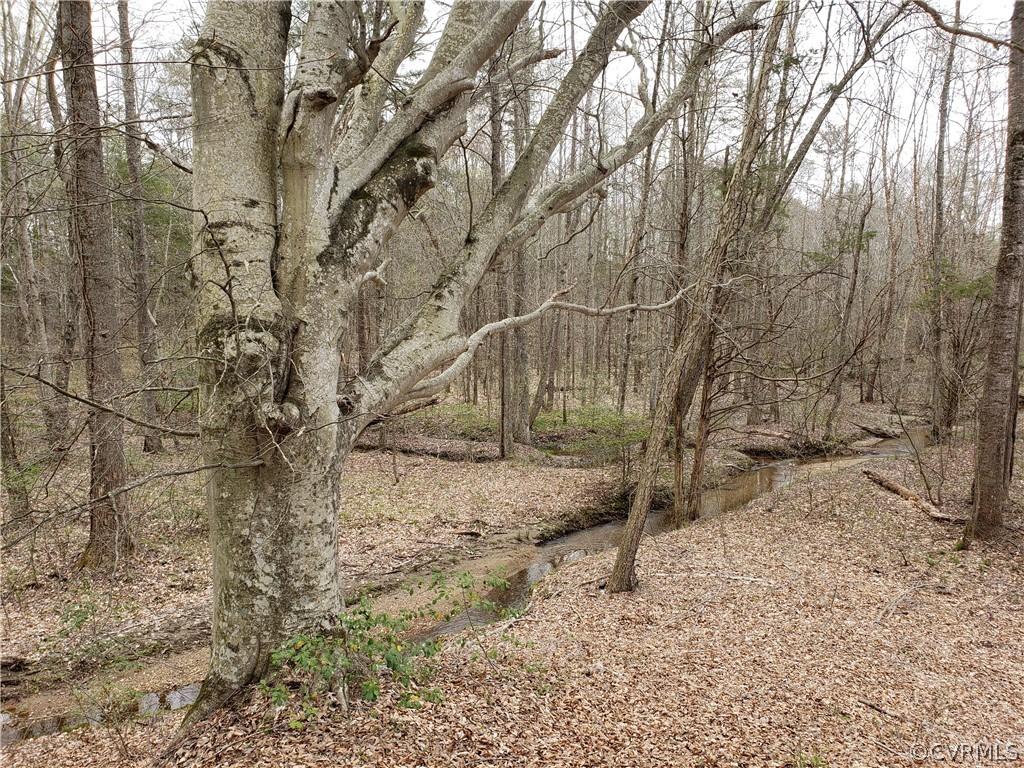 4700 Fleming Road Louisa, VA 23093 - Photo 28 of 30 Gallery Image 28