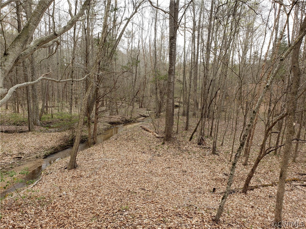 4700 Fleming Road Louisa, VA 23093 - Photo 29 of 30 Gallery Image 29