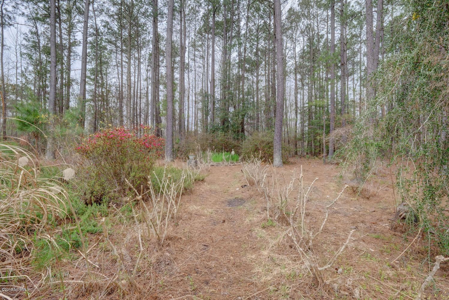 334 Cheshire Road Rocky Point, NC 28457 - Photo 26 of 27 334 Cheshire Rd Rocky Point NC-large-026