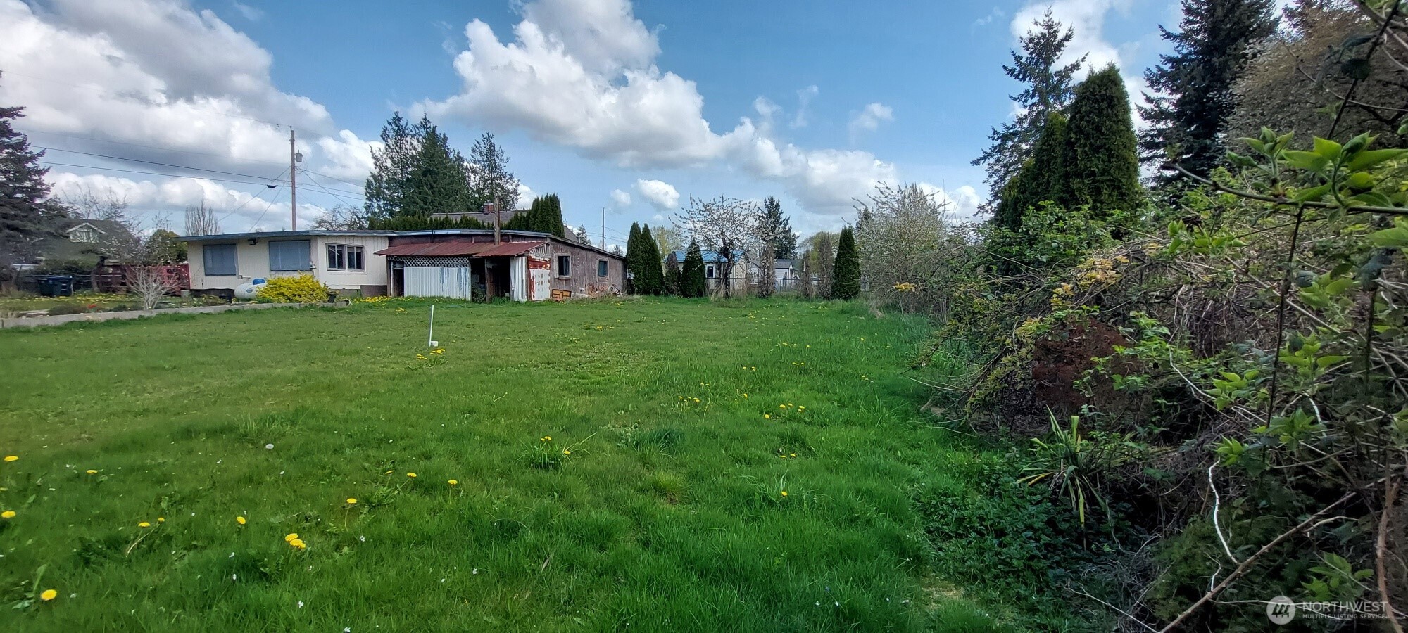 3051 Main Street Custer, WA 98240 - Photo 4 of 12 a view of a big house with a big yard and large trees