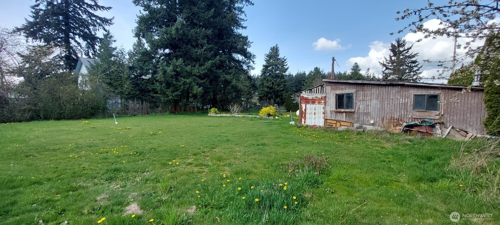 3051 Main Street Custer, WA 98240 - Photo 6 of 12 a view of a backyard with table and chairs plants and large trees