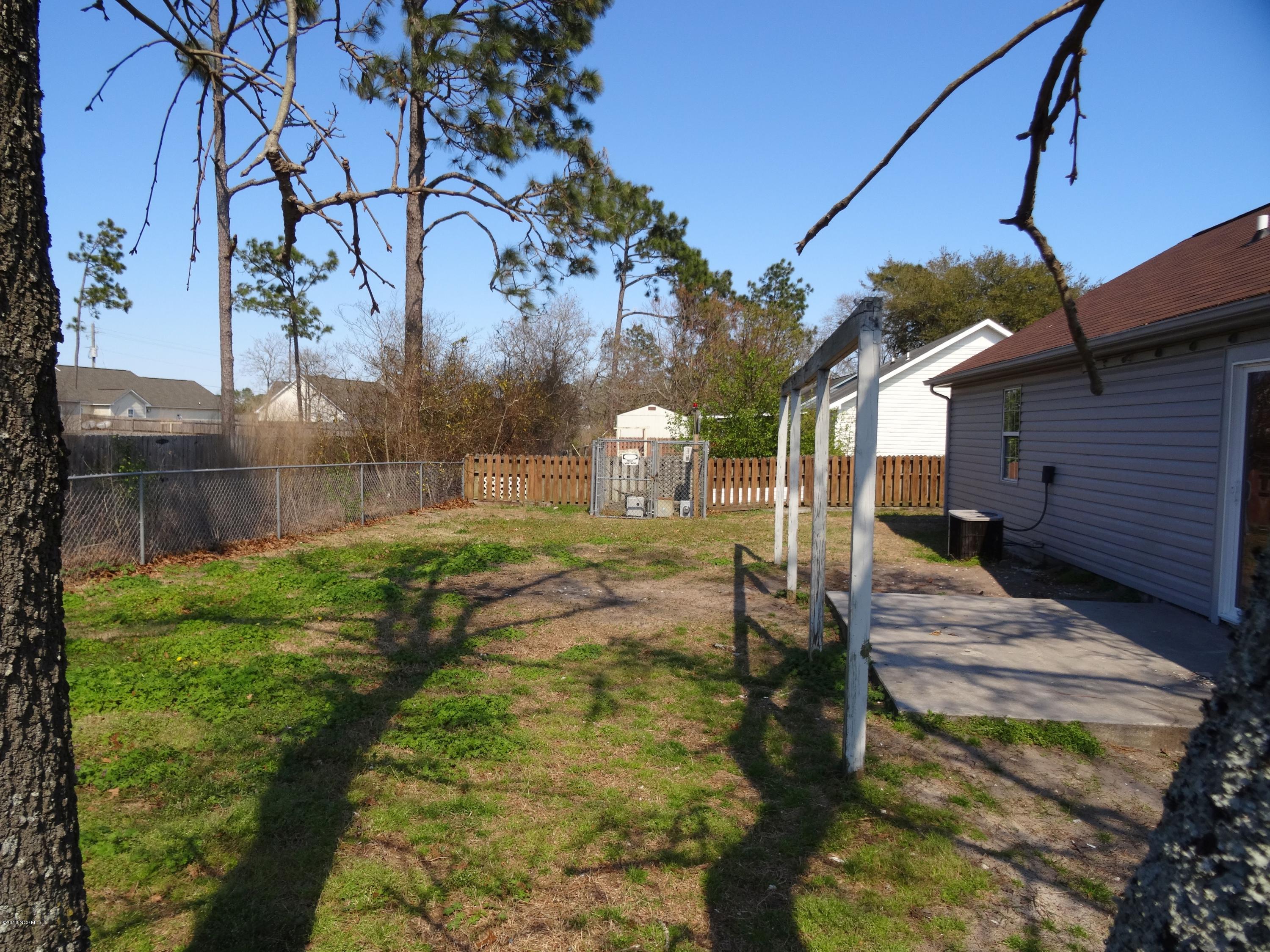 311 Crown Point Road Hubert, NC 28539 - Photo 21 of 25 Back Yard 2