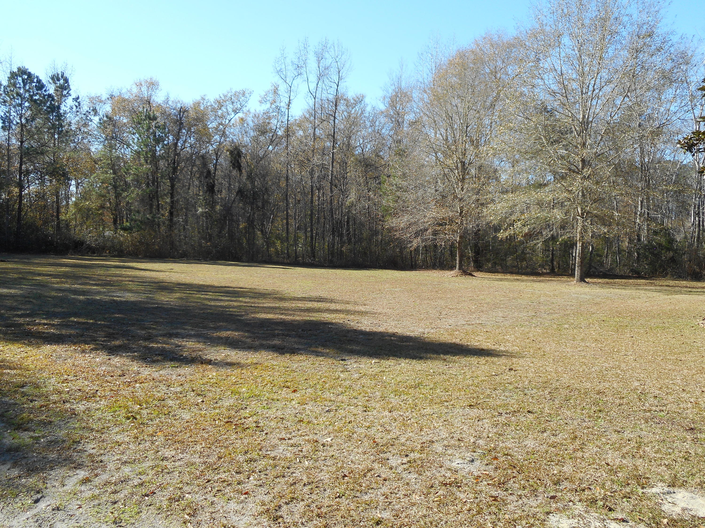 900 State Rd S-15-129 Walterboro, SC 29488 - Photo 7 of 18 DSCN2632