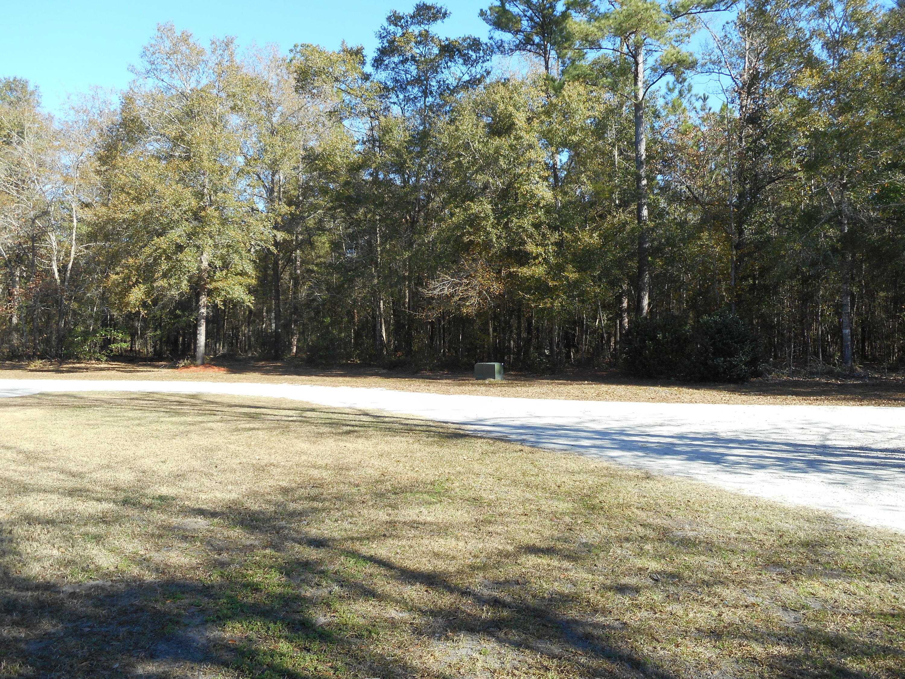 900 State Rd S-15-129 Walterboro, SC 29488 - Photo 8 of 18 DSCN2633