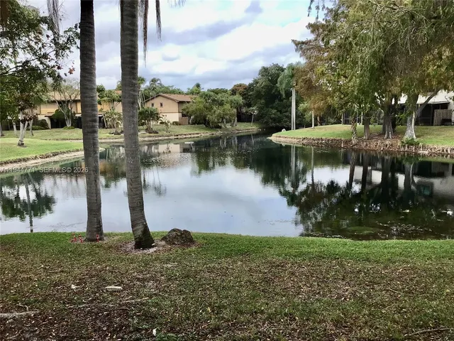 a body of water with a tree in the background