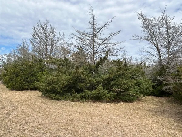 a view of a yard covered with snow in the background