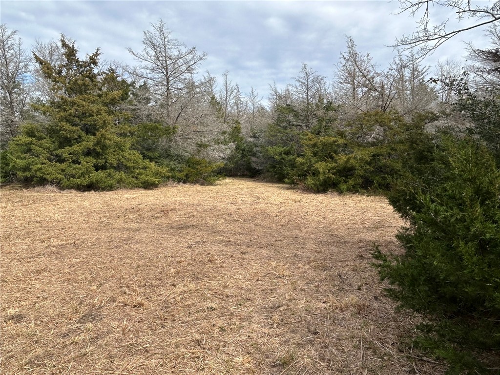 Tbd Tbd Deer Run, Unit COUNTYROAD College Station, TX 77845 - Photo 13 of 18 Clearing in the trees