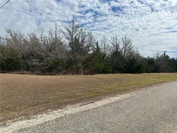 a view of a field with trees in background