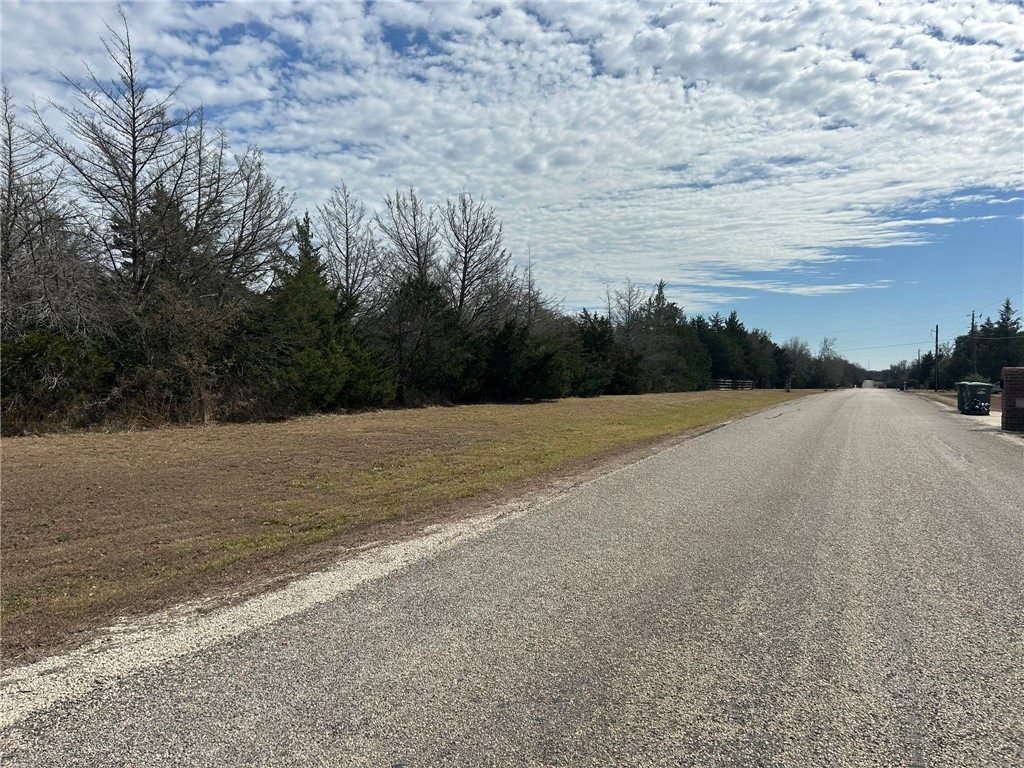 Tbd Tbd Deer Run, Unit COUNTYROAD College Station, TX 77845 - Photo 16 of 18 Front of Property looking at hardtop road