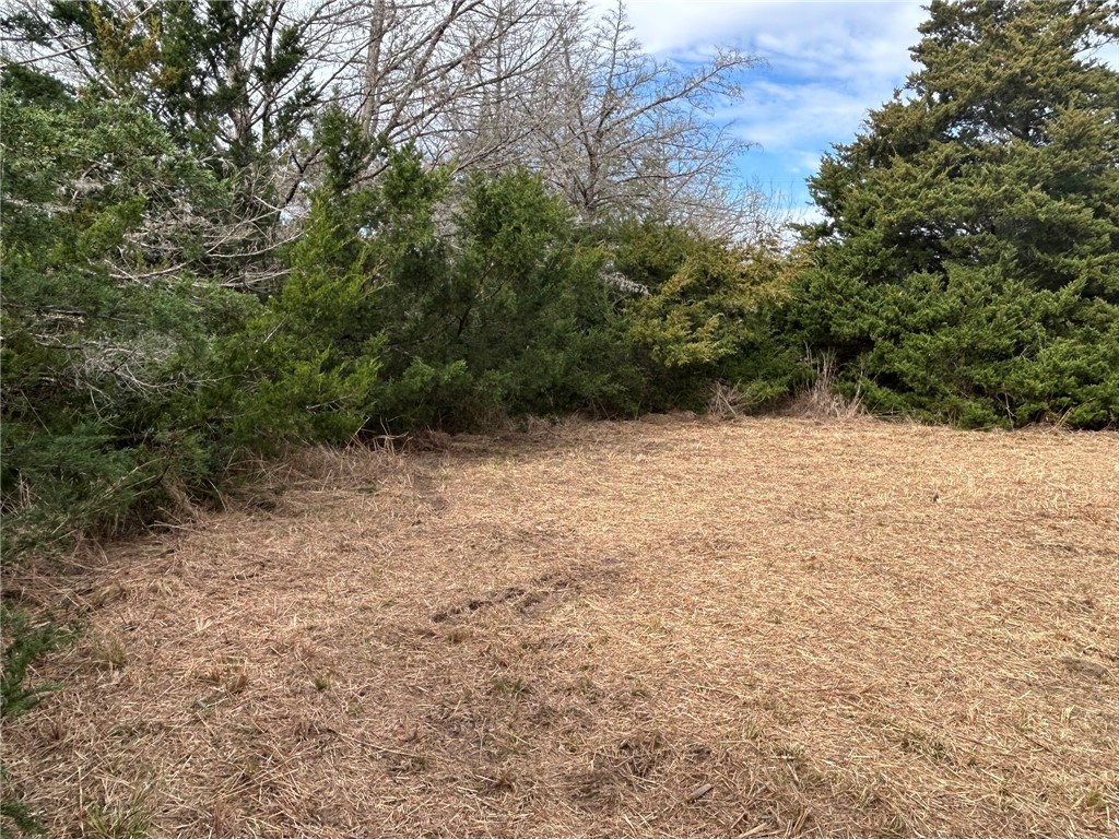 Tbd Tbd Deer Run, Unit COUNTYROAD College Station, TX 77845 - Photo 2 of 18