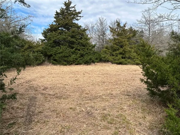 a view of a dry yard with trees in the background